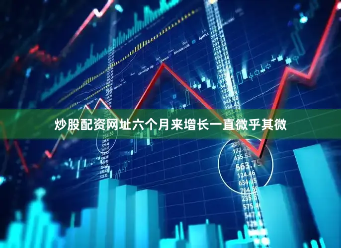 炒股配资网址六个月来增长一直微乎其微