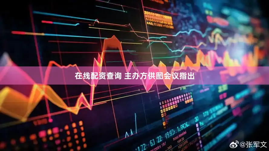 在线配资查询 主办方供图会议指出