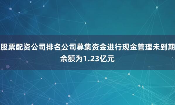 股票配资公司排名公司募集资金进行现金管理未到期余额为1.23亿元