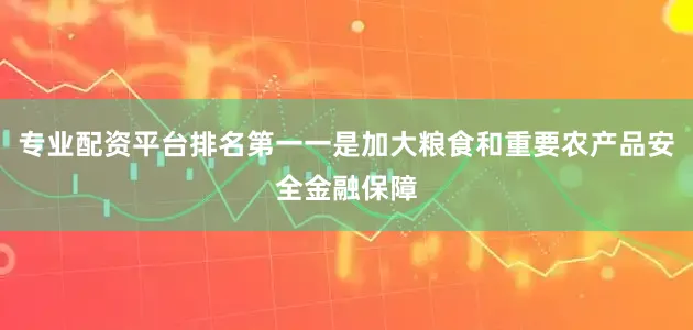 专业配资平台排名第一一是加大粮食和重要农产品安全金融保障